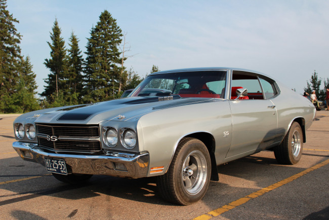 Обои картинки фото автомобили, выставки, уличные, фото, 1970, chevrolet, chevelle, ss, 396