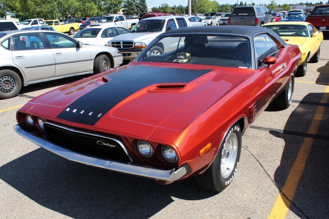 Обои картинки фото автомобили, выставки, уличные, фото, dodge, challenger