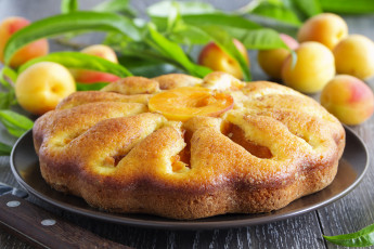 Картинка еда пироги абрикосы