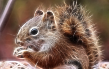 Картинка 3д+графика животные+ animals белка
