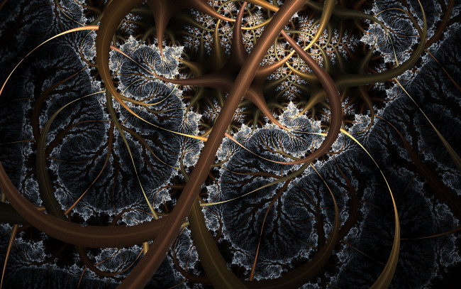 Обои картинки фото 3д графика, фракталы , fractal, узор, цвета, фон