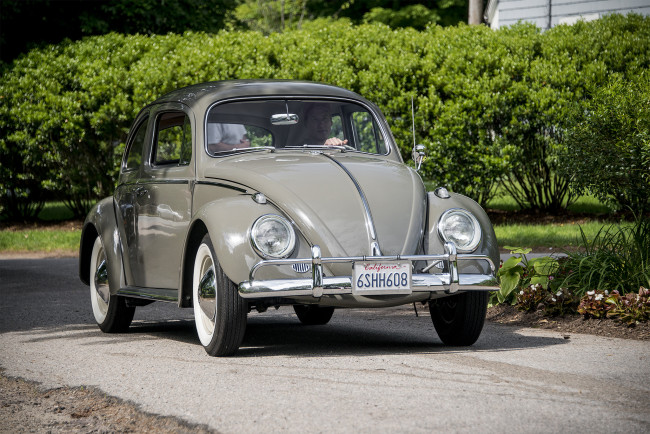 Обои картинки фото vw beetle, автомобили, volkswagen, автопробег, выставка, автошоу