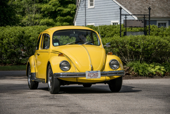 Обои картинки фото vw beetle, автомобили, volkswagen, автопробег, выставка, автошоу