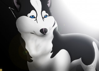 Картинка рисованное животные +собаки собака морда глаза