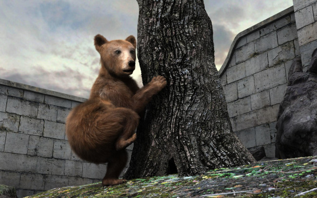 Обои картинки фото 3д графика, животные , animals, медведь