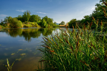 Картинка природа реки озера лес река