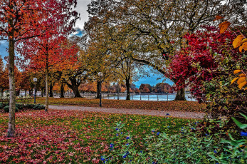 Картинка природа парк осень