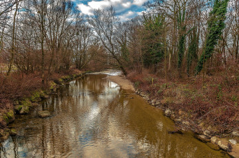 Картинка природа реки озера река лес