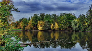 Картинка природа реки озера река лес