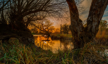 Картинка природа реки озера река лес