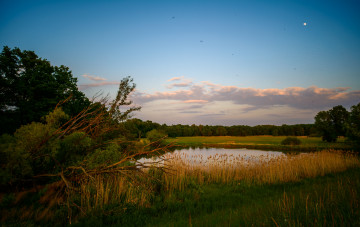 Картинка природа реки озера лес река