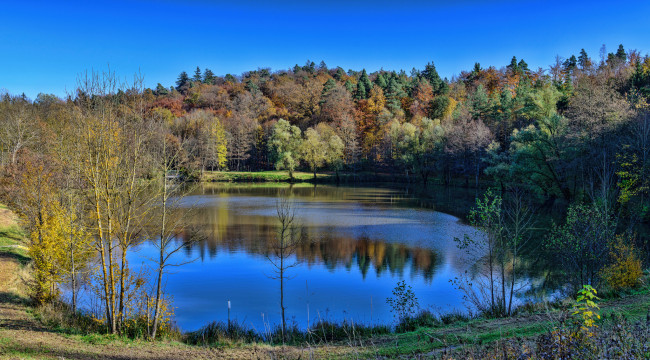 Обои картинки фото природа, реки, озера, река, лес