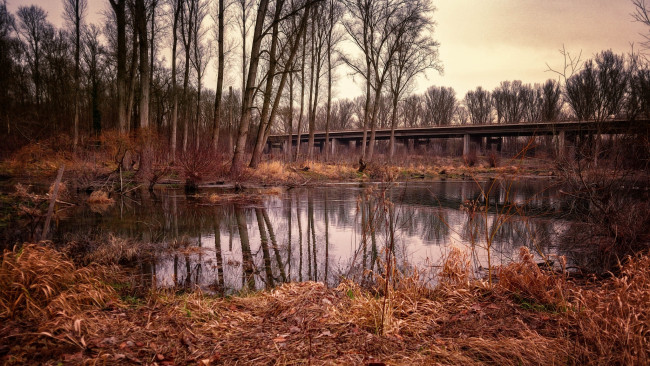 Обои картинки фото природа, реки, озера, лес, река