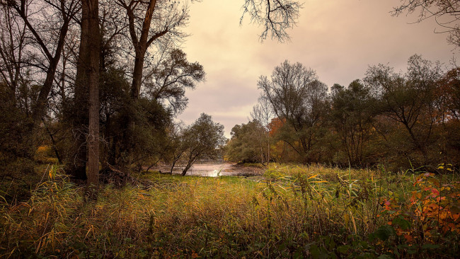 Обои картинки фото природа, реки, озера, река, лес