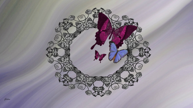 Обои картинки фото векторная графика, животные , animals, бабочки