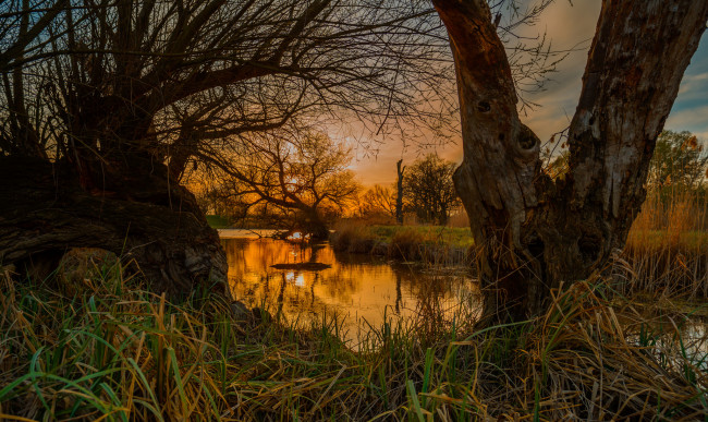 Обои картинки фото природа, реки, озера, река, лес