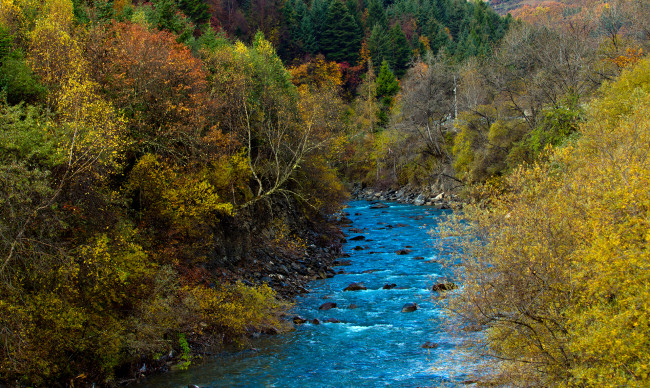 Обои картинки фото природа, реки, озера, река