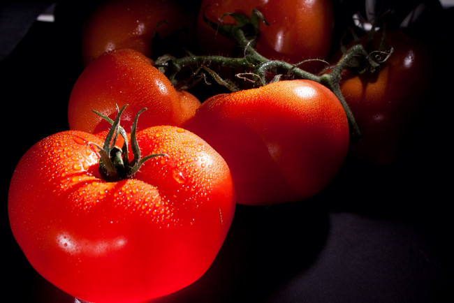Обои картинки фото еда, помидоры, томат