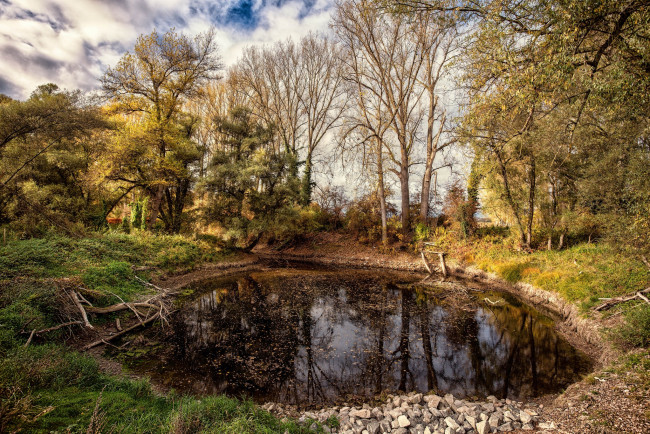 Обои картинки фото природа, реки, озера, лес, река