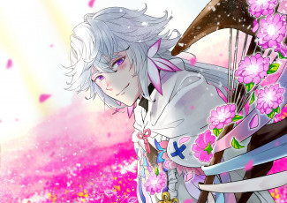 Картинка аниме fate stay+night merlin