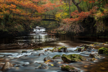 Картинка природа реки озера поток вода водопад лес деревья