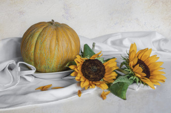 Картинка еда дыня натюрморт цветы тыква