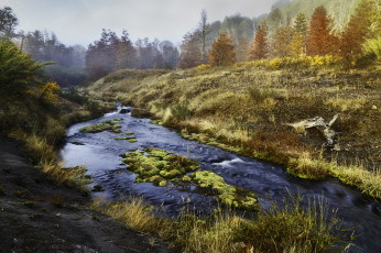 Картинка природа реки озера лес река