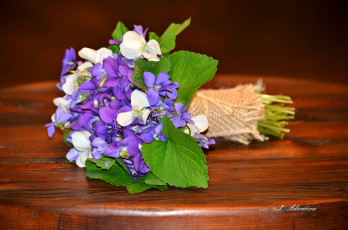 Картинка цветы фиалки букет фиалка лепестки