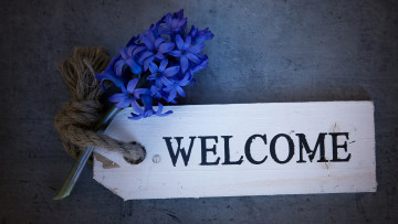 Картинка цветы глициния темный веревочка добро пожаловать надпись синие ретро доска фон композиция табличка веточка гиацинты