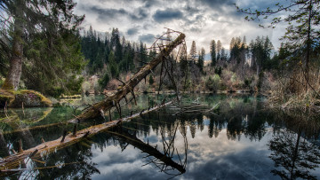 Картинка природа реки озера река лес