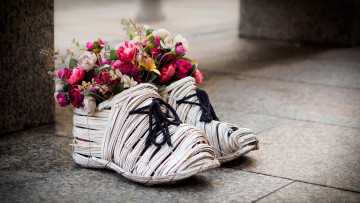 Картинка разное -+другое лапти цветы