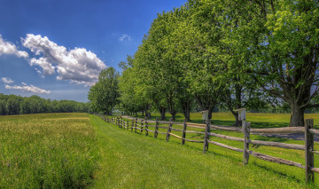 Картинка природа пейзажи скворечник облака трава деревья