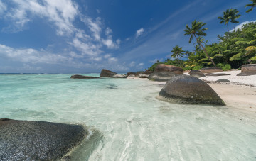 Картинка природа тропики океан острова