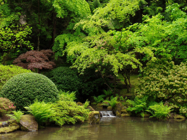 Обои картинки фото природа, реки, озера, кусты, деревья, вода