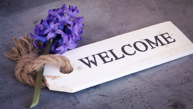 Обои картинки фото цветы, гиацинты, гиацинт, фон, композиция, табличка, веточка, веревочка, добро, пожаловать, надпись