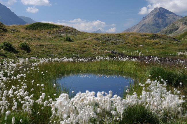 Обои картинки фото природа, пейзажи, простор