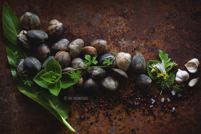 Обои картинки фото еда, рыба,  морепродукты,  суши,  роллы, деликатес, ракушки, вкусно