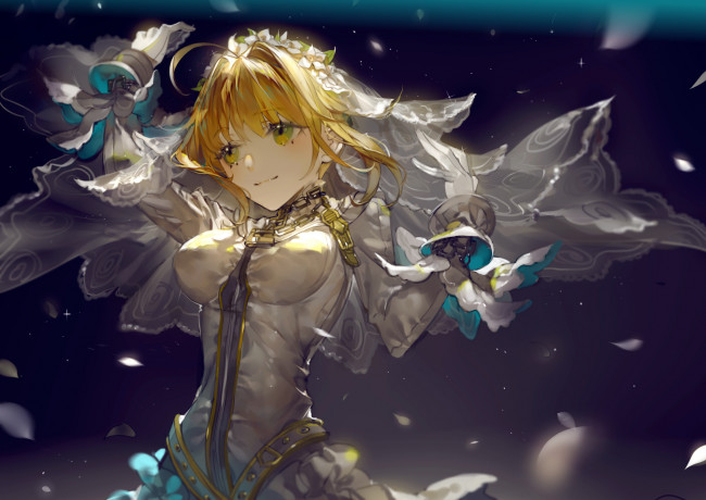 Обои картинки фото аниме, fate, stay night, saber