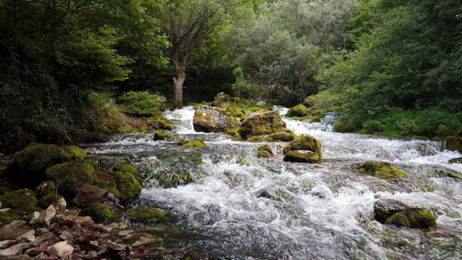 Обои картинки фото природа, реки, озера, лес, река