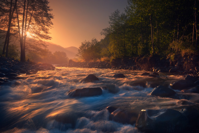 Обои картинки фото природа, реки, озера, вода, река, дерево, солнце