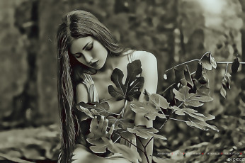 Картинка календари компьютерный+дизайн 2019 calendar женщина растение природа листья девушка