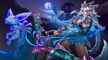 Картинка видео+игры paladins