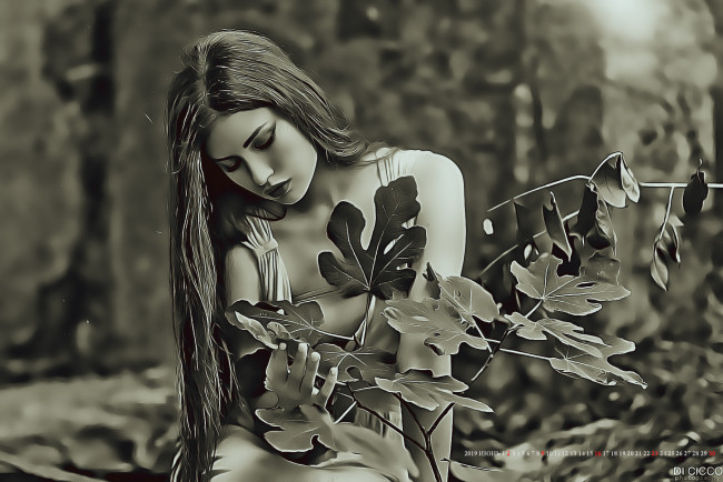 Обои картинки фото календари, компьютерный дизайн, 2019, calendar, женщина, растение, природа, листья, девушка