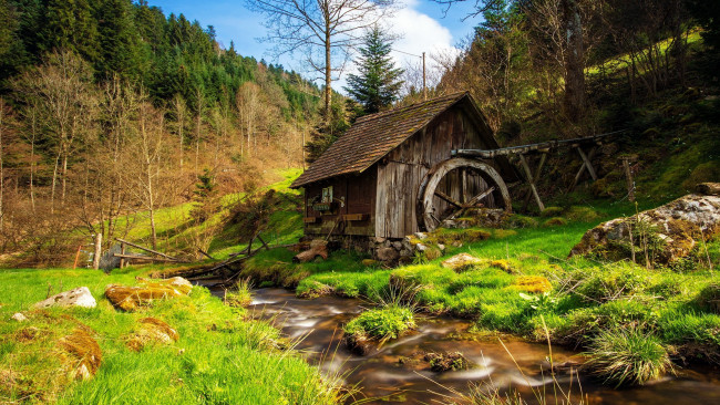 Обои картинки фото разное, мельницы, старая, мельница, лес, вода