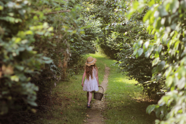 Обои картинки фото разное, люди, девочка, шляпа, корзина, тропинка, кусты