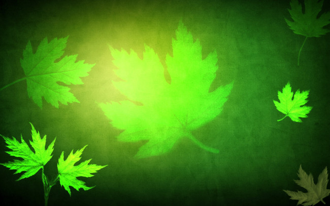 Обои картинки фото рисованное, природа, листья, кленовые, зеленый, фон