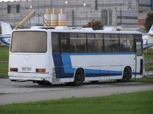 Картинка автомобили автобусы