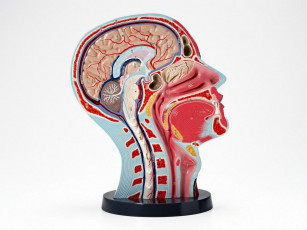 Картинка разное медицина