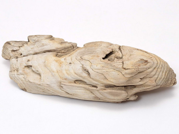 Обои картинки фото разное, ракушки, кораллы, декоративные, spa, камни