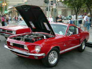 Картинка shelby автомобили ford